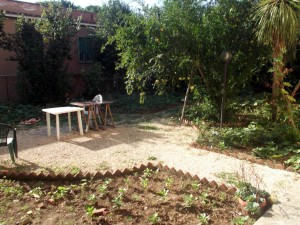 Affitto Pigneto | giardino condominiale