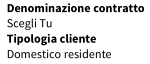 Denominazione contratto Enel e tipologia cliente domestico residente